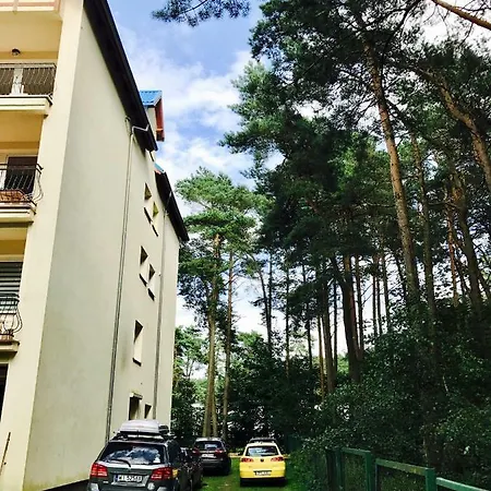 Platinum Apartment